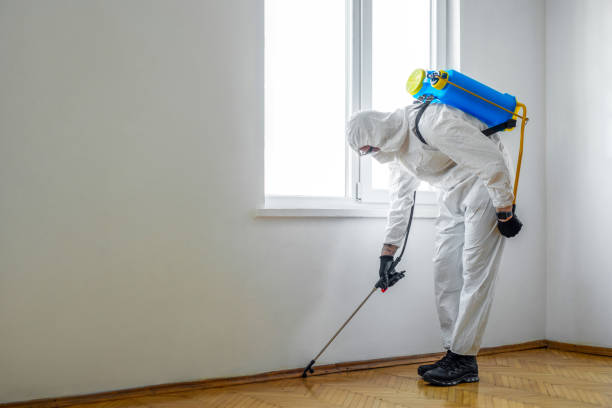 Best Indoor Pest Control  in St David, AZ